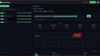 Pi-hole docker container in Uptime Kuma.