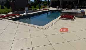 pool with basketball hoop and paver patio