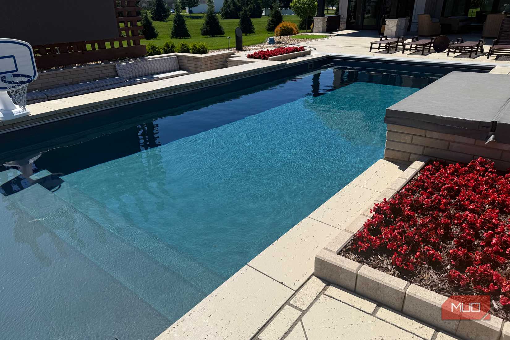pool with basketball hoop and red flower bed