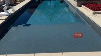 pool with tanning ledge and basketball hoop