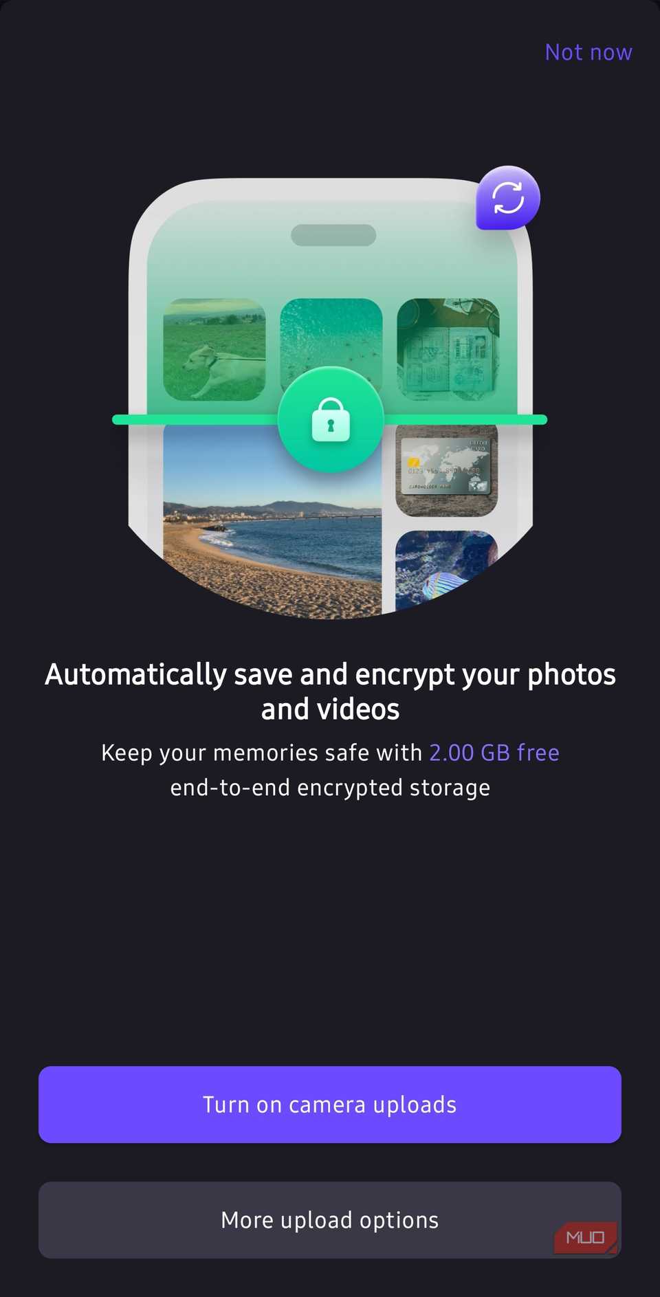Proton Drive turn on camera uploads option
