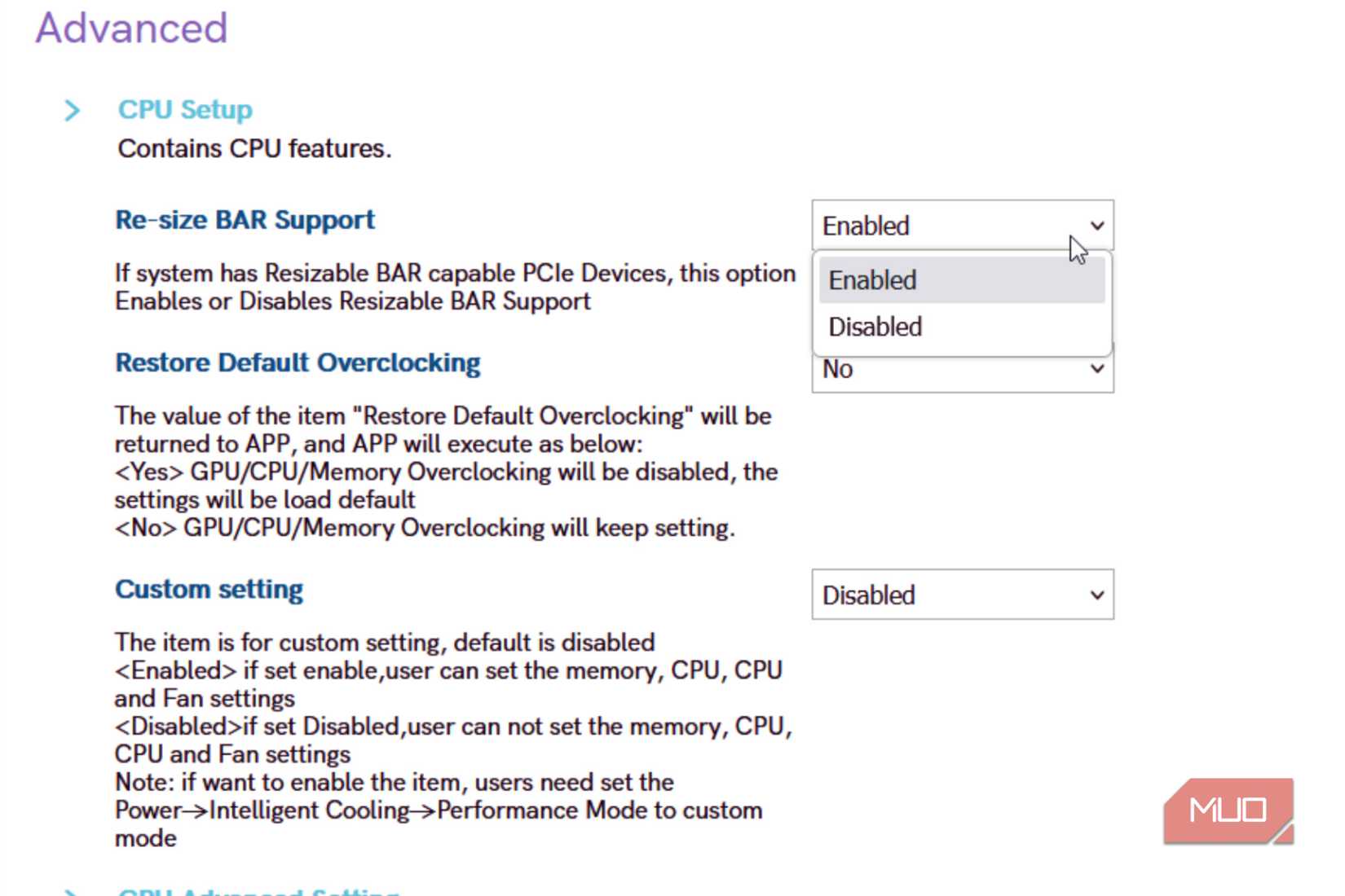Re-Size bar support on Bootable menu.