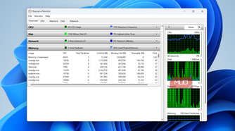 Resource Monitor showing memory use on desktop