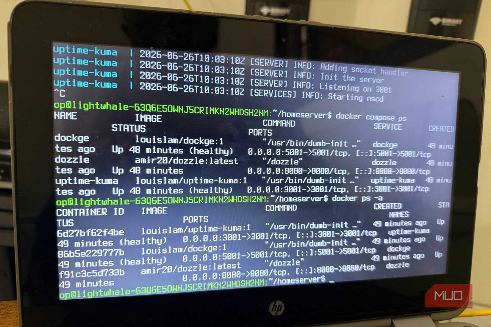Running DOcker server on Lighwhale