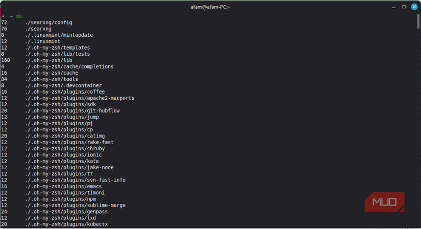 running-the-du-command.png?q=70&fit=crop&w=825&dpr=1