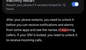 Samsung More security settings showing the App Pinning option