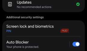 Samsung Security settings showing the More security settings menu
