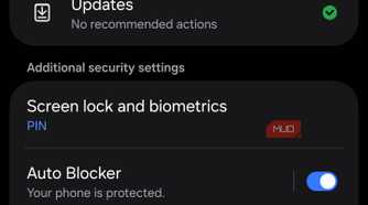 Samsung Security settings showing the More security settings menu