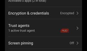 Screen pinning option in Vivo More security settings