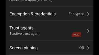 Screen pinning option in Vivo More security settings