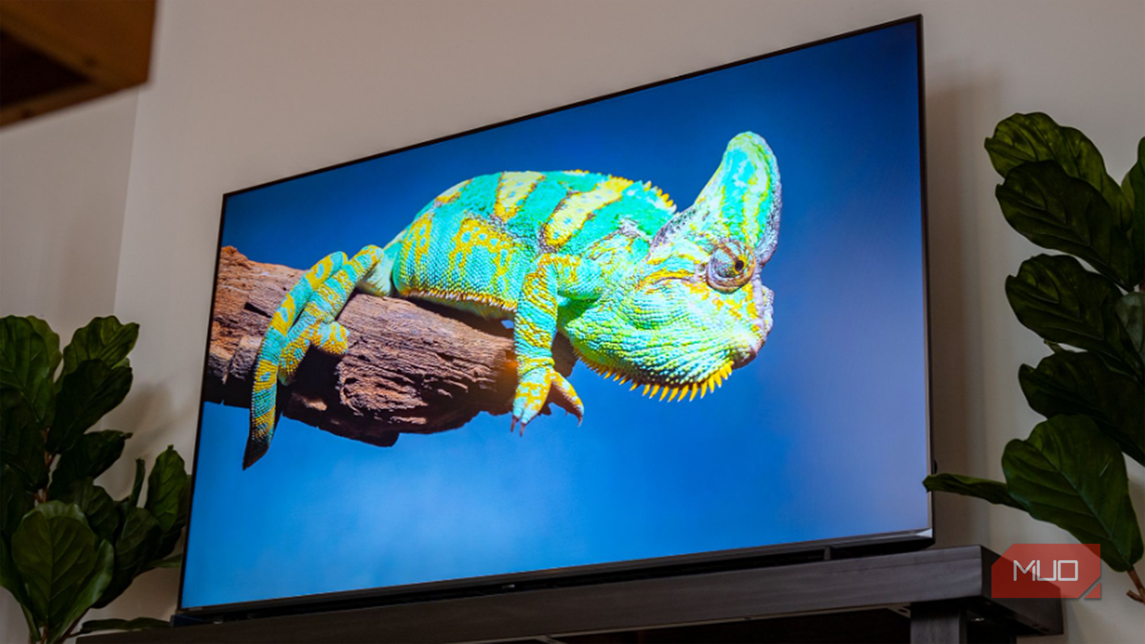 카멜레온처럼 밝은 색상을 표현하는 Hisense U6SF MiniLED ULED TV.