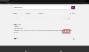 Search My Site search engine query page showing a single result