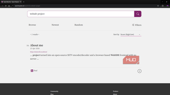 Search My Site search engine query page showing a single result
