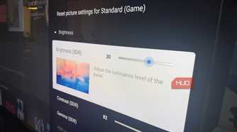 The picture settings menu showing Brightness on a Sony Bravia TV.