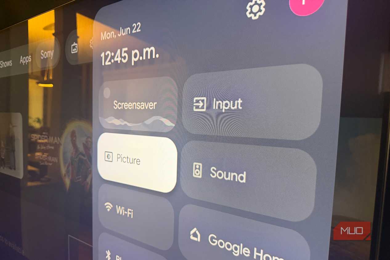 The picture settings menu on a Sony Bravia TV.