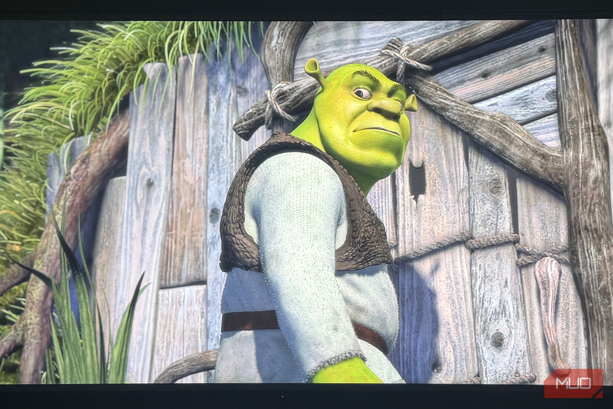 An image of Shrek playing from Netflix on a Sony Bravia TV.