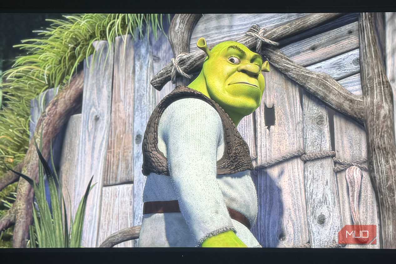 An image of Shrek playing from Netflix on a Sony Bravia TV.