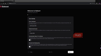 Stalwart bootstrapping setting hostnames and certificates