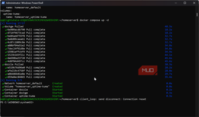 Starting up all docker fontainers