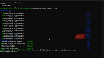 Starting up all docker fontainers