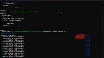 Starting Uptime Kuma for Lightwhale