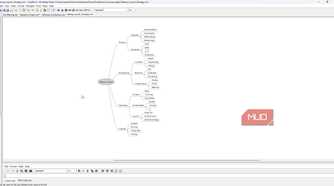 startup launch mind0map in freemind.
