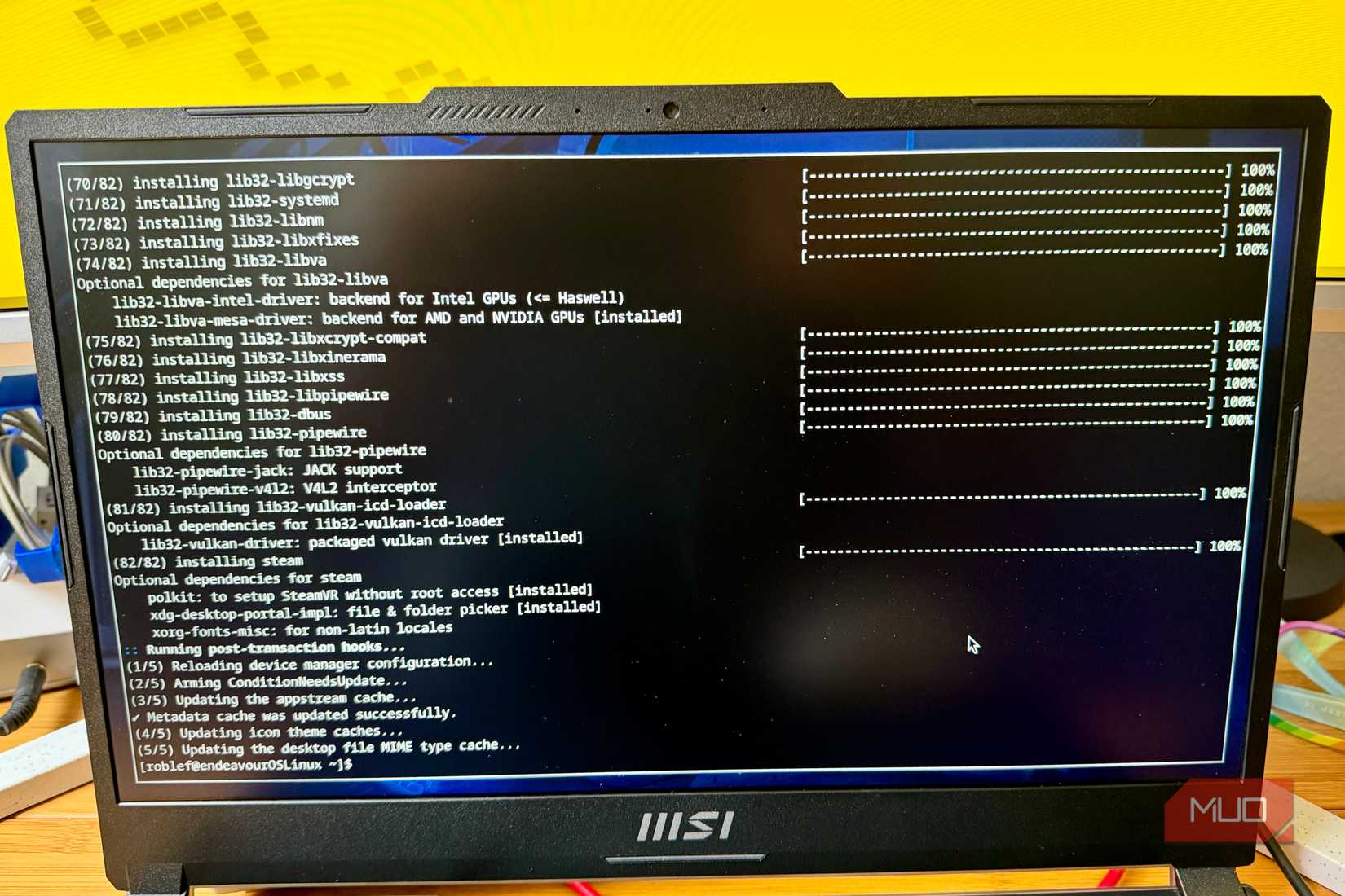 Installing Steam