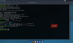 Technitium DHCP and DNS server successfuly DHCP lease on client