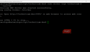 Technitium DHCP and DNS server running in Docker on Ubuntu