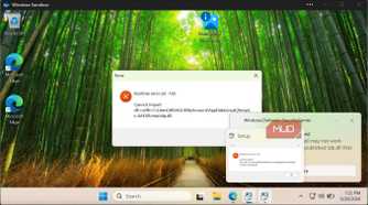 Testing new tool on WindowsSandboxRemoteSession