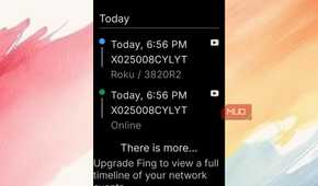 Timeline for devices being connected as shown in Fing.