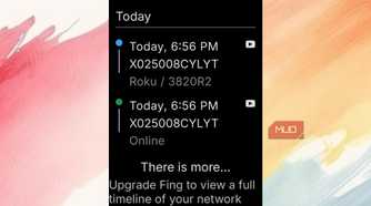 Timeline for devices being connected as shown in Fing.