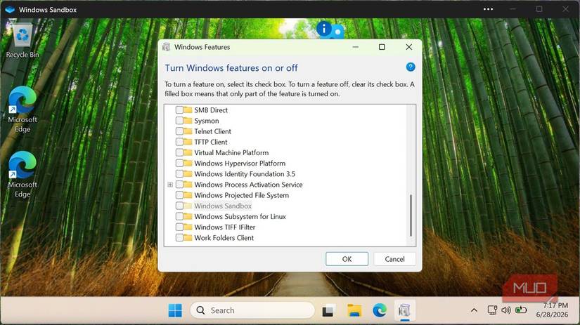 Turn off WIndows features