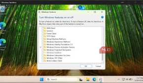 Turn off WIndows features