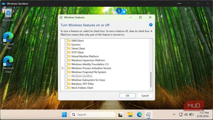 Turn off WIndows features