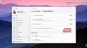 Turning off visual effects in Windows 11