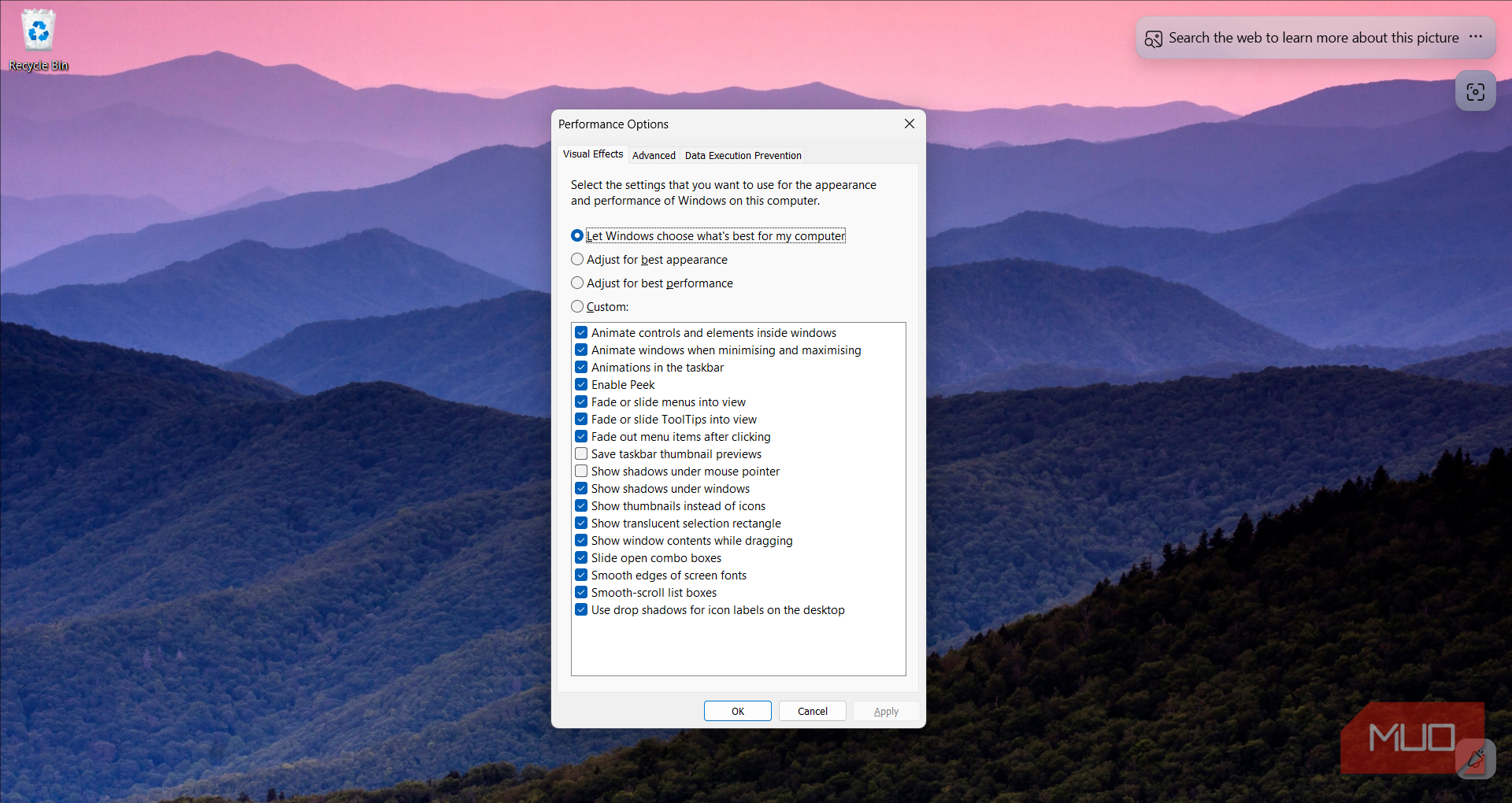  Visual Effects tab in Performance Options