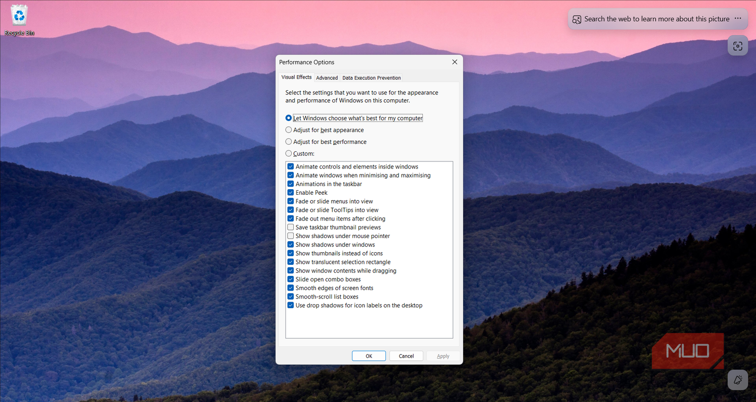 Visual Effects tab in Performance Options