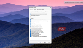 Visual Effects tab in Performance Options