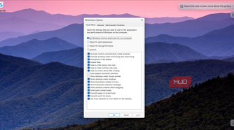 Visual Effects tab in Performance Options