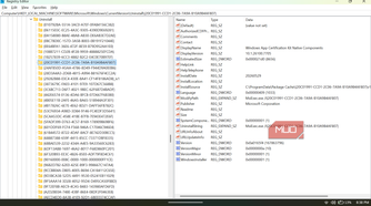 Windows Uninstall registry keys.