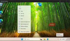 WindowsSandboxRemoteSession paste option