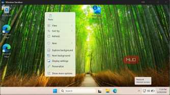 WindowsSandboxRemoteSession paste option