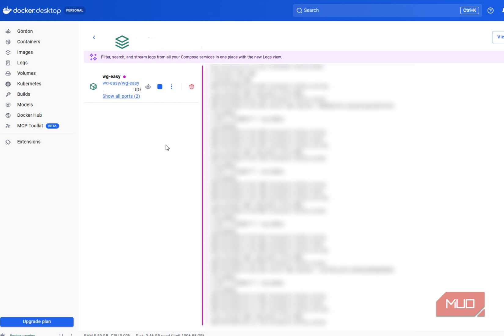 WireGuard on Docker with logs blurred and private stuff whited out