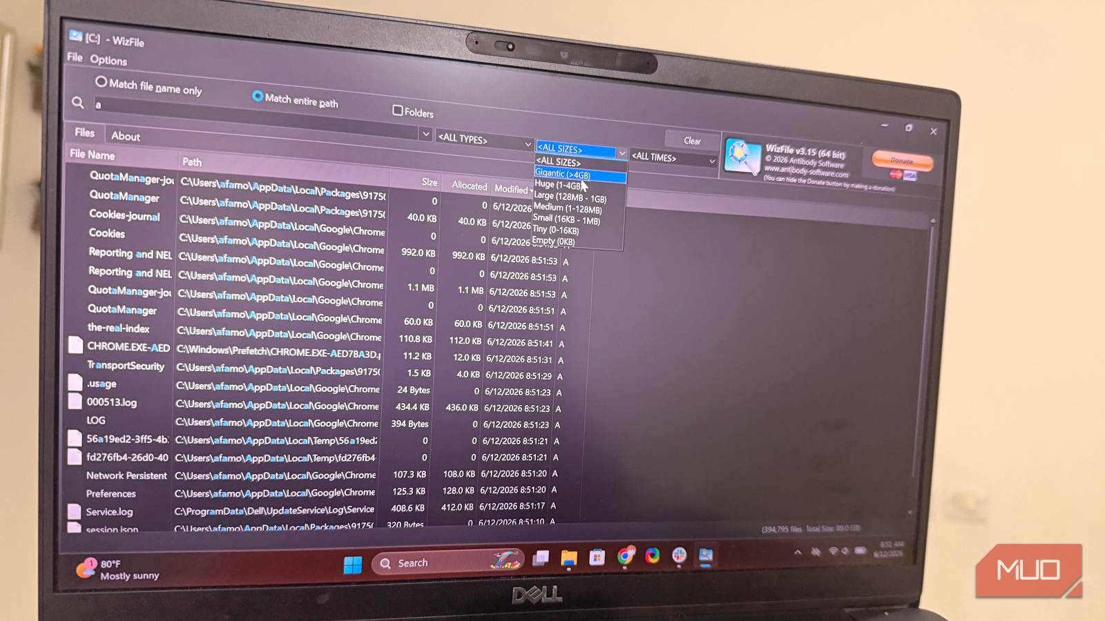 WizFile search on Windows