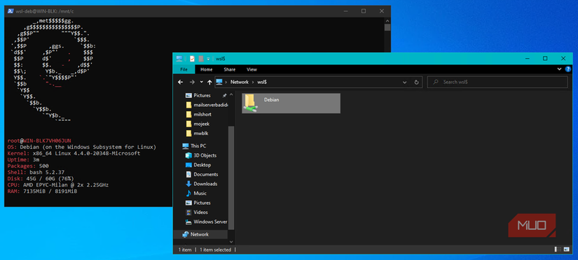 WSL on Windows and network share to debian made possible by P9