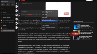 Zen browser browsing experience