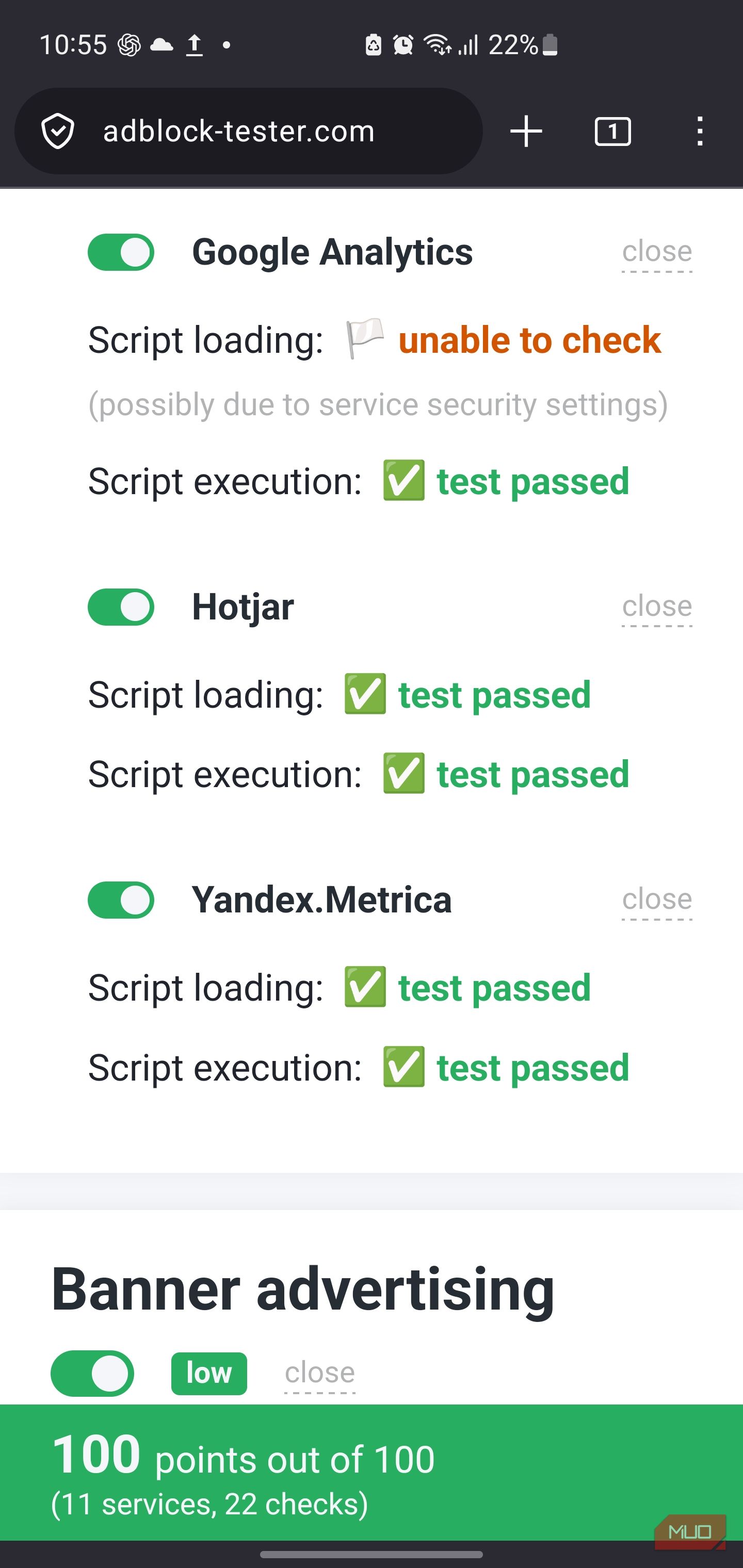 Adblock tester website results on IronFox.