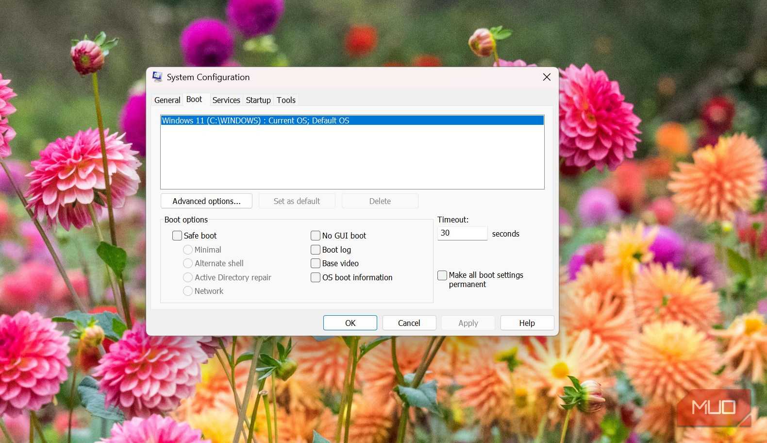 Advanced boot option on Windows