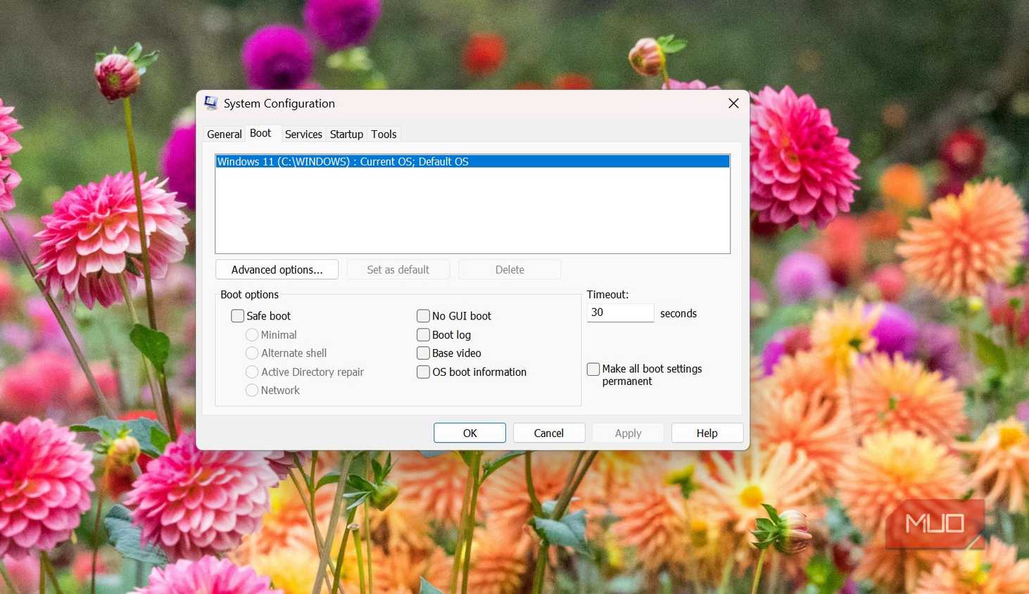 Advanced boot option on Windows